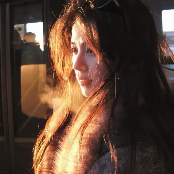 主妇侦探社